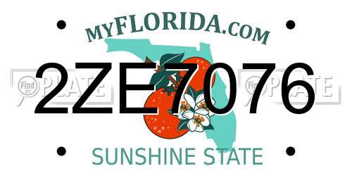 2ZE7076 Florida License Plate