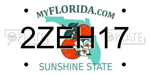 2ZEH17 Florida License Plate