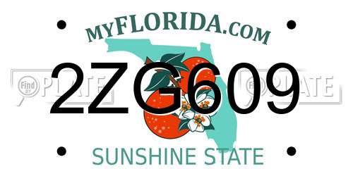 2ZG609 Florida License Plate