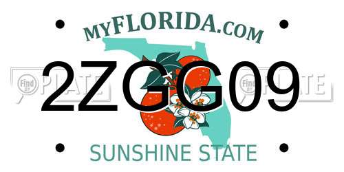 2ZGG09 Florida License Plate