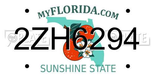 2ZH6294 Florida License Plate