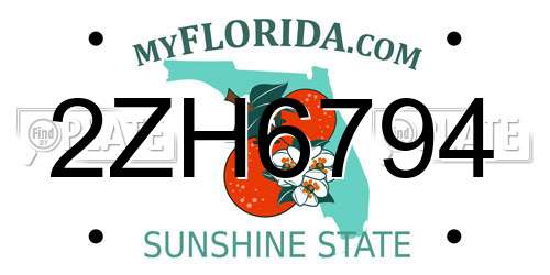 2ZH6794 Florida License Plate