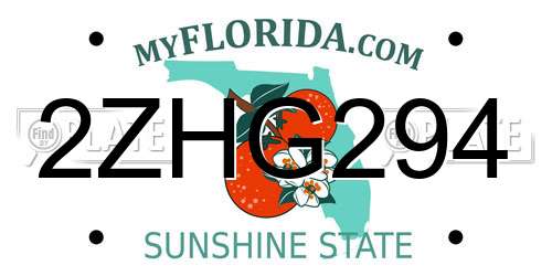 2ZHG294 Florida License Plate