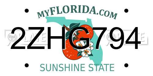 2ZHG794 Florida License Plate