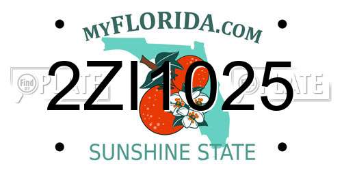 2ZI1025 Florida License Plate