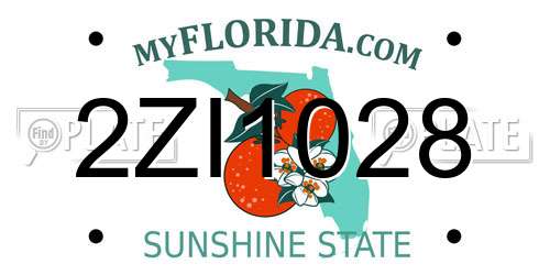 2ZI1028 Florida License Plate