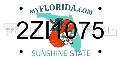 2ZI1075 Florida License Plate