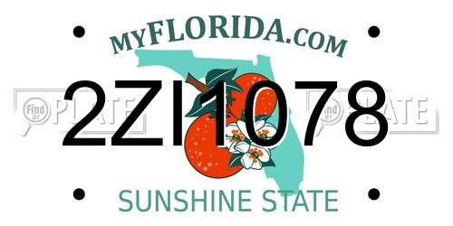 2ZI1078 Florida License Plate