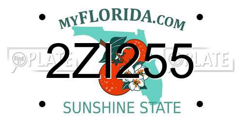 2ZI255 Florida License Plate