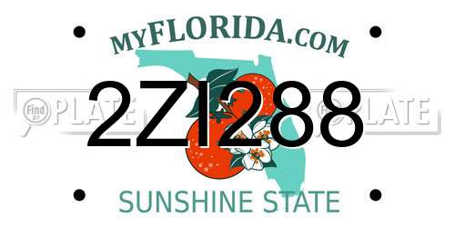 2ZI288 Florida License Plate