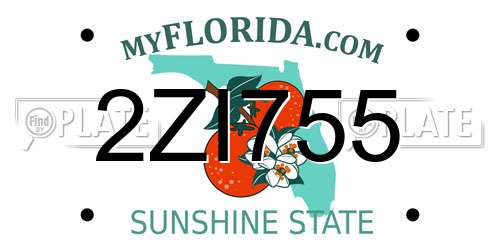 2ZI755 Florida License Plate