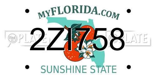 2ZI758 Florida License Plate
