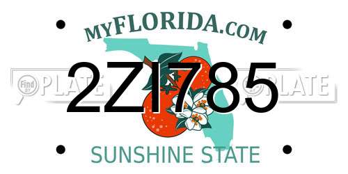 2ZI785 Florida License Plate
