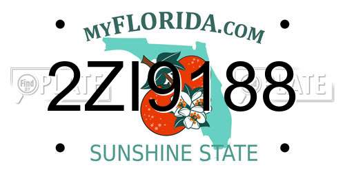 2ZI9188 Florida License Plate