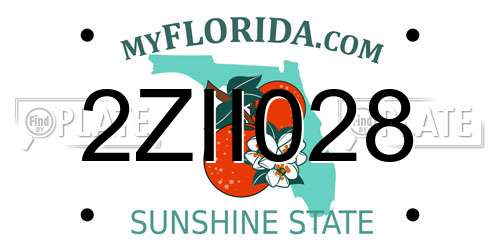 2ZII028 Florida License Plate