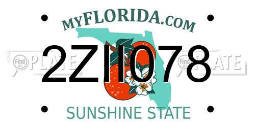2ZII078 Florida License Plate