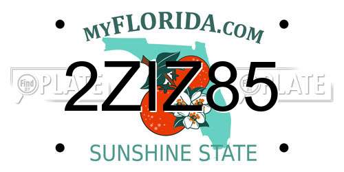2ZIZ85 Florida License Plate