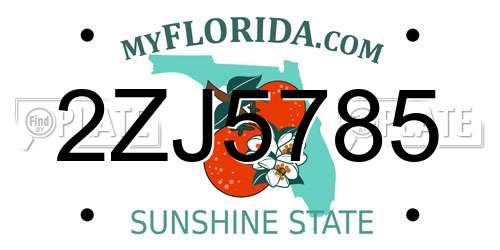 2ZJ5785 Florida License Plate