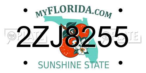 2ZJ8255 Florida License Plate
