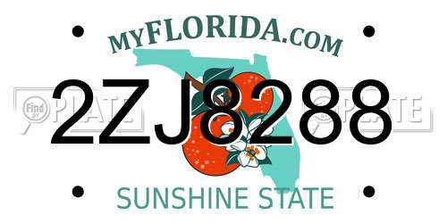 2ZJ8288 Florida License Plate