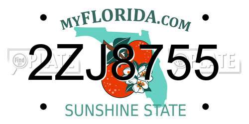 2ZJ8755 Florida License Plate