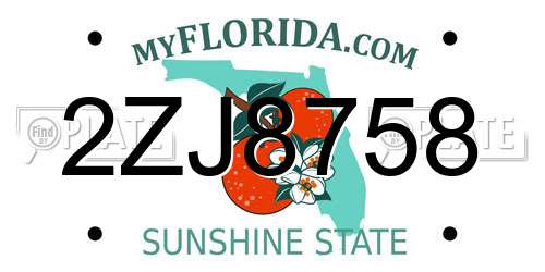 2ZJ8758 Florida License Plate