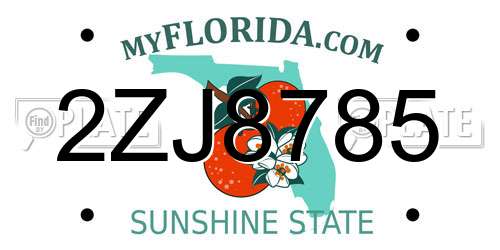 2ZJ8785 Florida License Plate