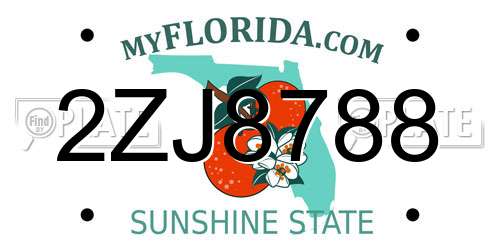 2ZJ8788 Florida License Plate