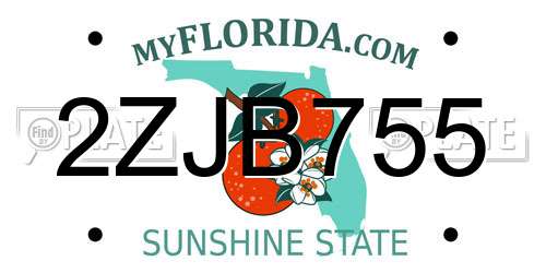 2ZJB755 Florida License Plate