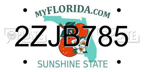 2ZJB785 Florida License Plate