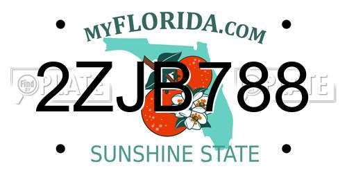 2ZJB788 Florida License Plate