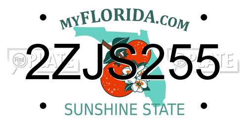 2ZJS255 Florida License Plate
