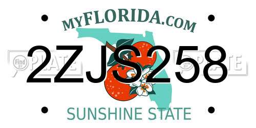 2ZJS258 Florida License Plate