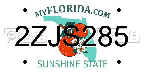 2ZJS285 Florida License Plate