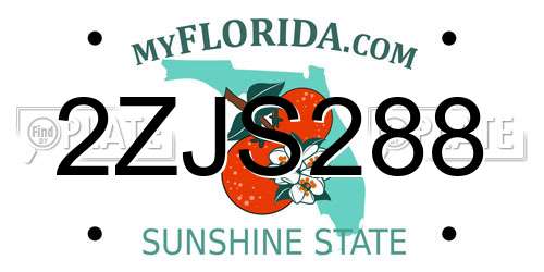 2ZJS288 Florida License Plate