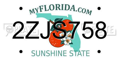 2ZJS758 Florida License Plate
