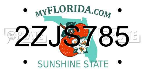 2ZJS785 Florida License Plate