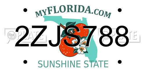 2ZJS788 Florida License Plate