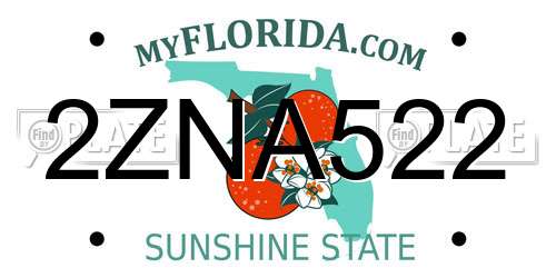 2ZNA522 Florida License Plate