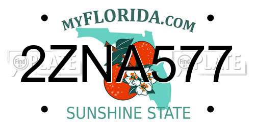 2ZNA577 Florida License Plate