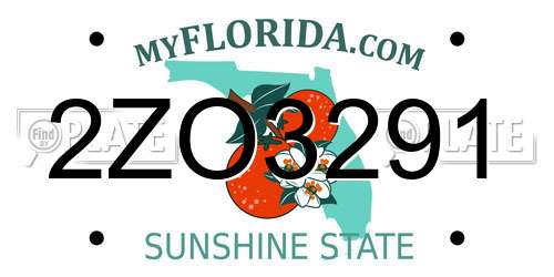 2ZO3291 Florida License Plate