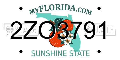 2ZO3791 Florida License Plate