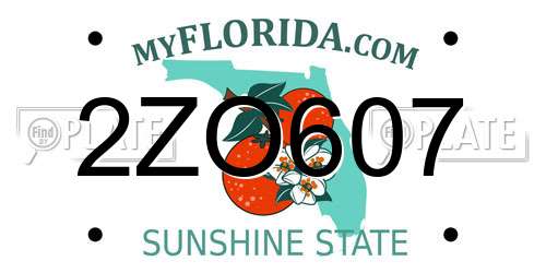 2ZO607 Florida License Plate