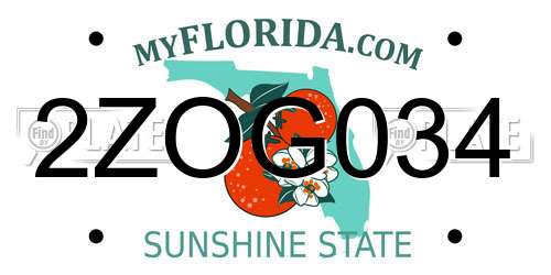 2ZOG034 Florida License Plate