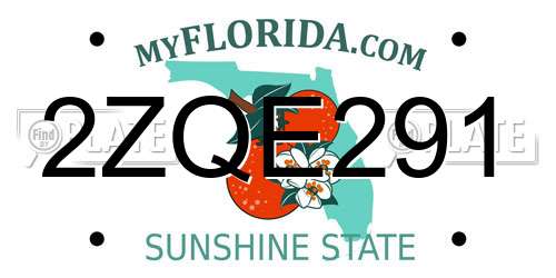 2ZQE291 Florida License Plate