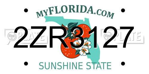 2ZR3127 Florida License Plate