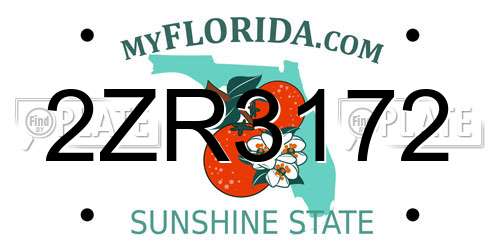 2ZR3172 Florida License Plate