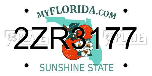 2ZR3177 Florida License Plate