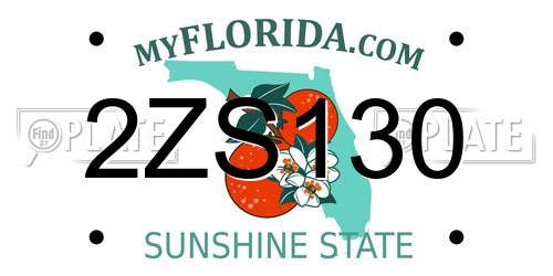 2ZS130 Florida License Plate