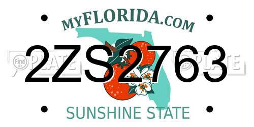 2ZS2763 Florida License Plate